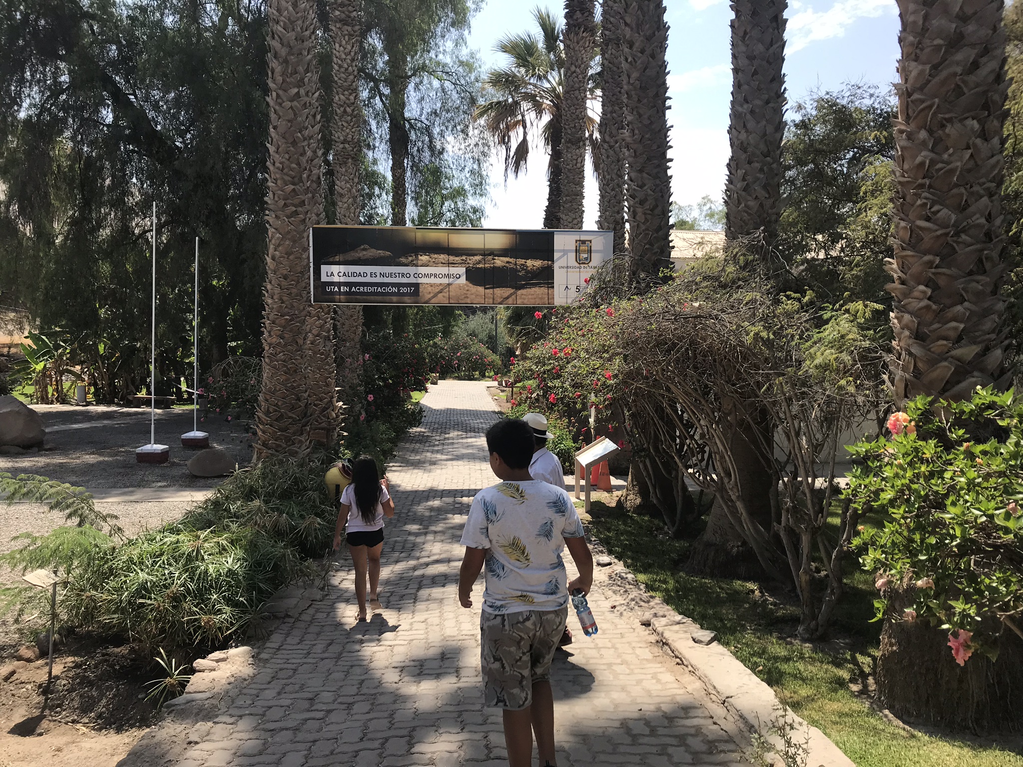 Museo de Sitio Valle de Azapa, Arica | Mi Blog de Aventuras | 2019