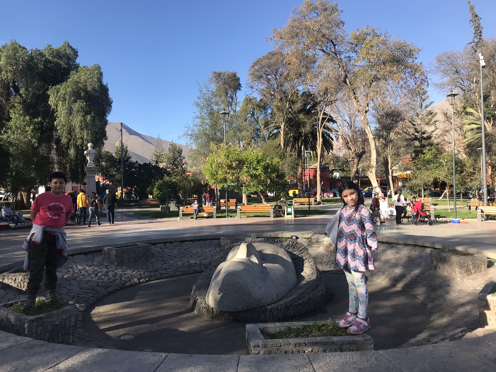 Vicuña. Valle del Elqui | Mi Blog de Aventuras | 2018