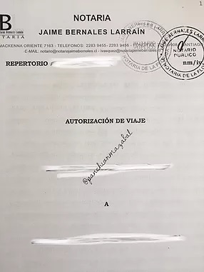 Autorización Notarial de Viajes. 2017