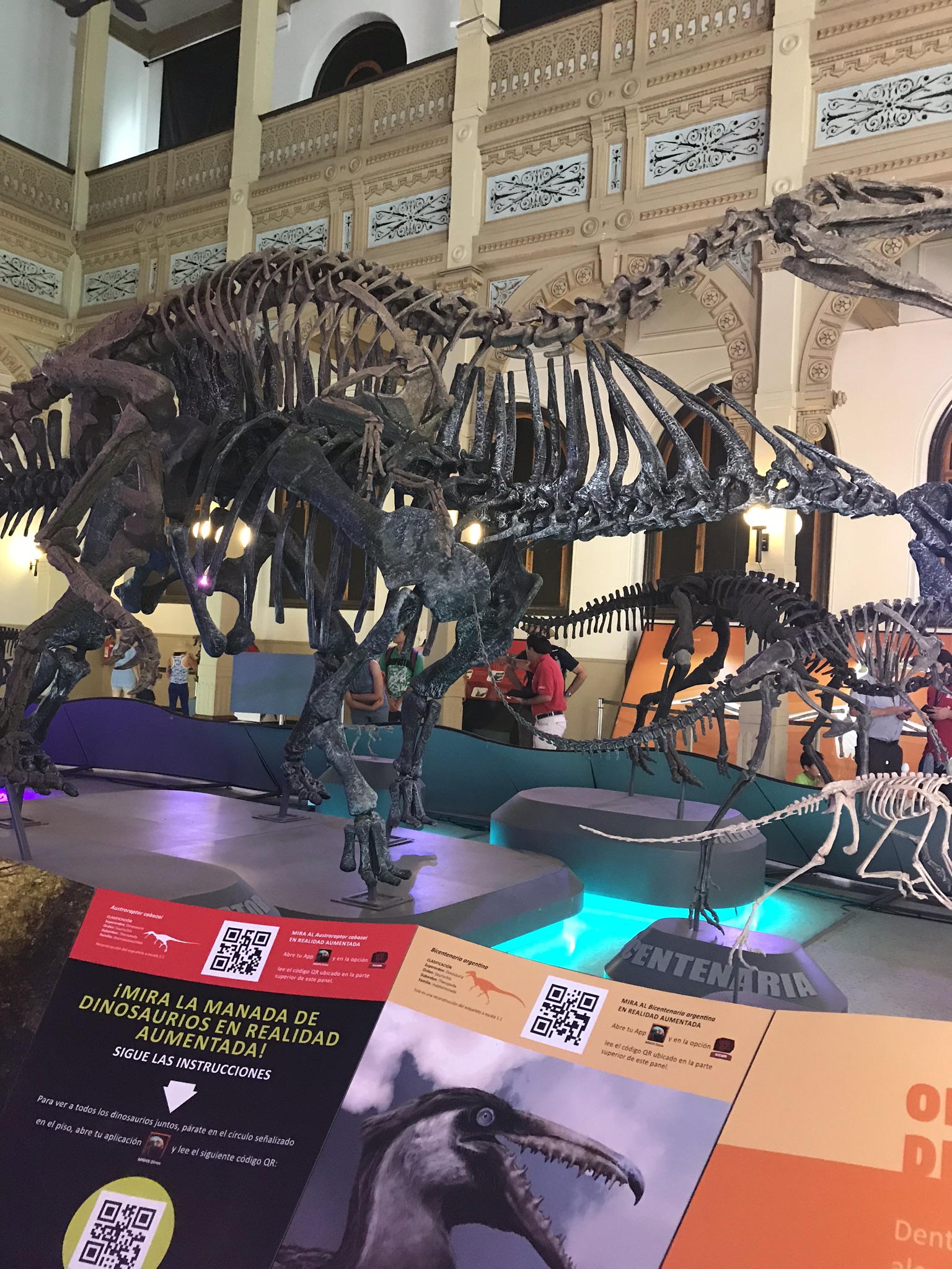 Museo de Historia Natural | Mi blog de aventuras | 2018