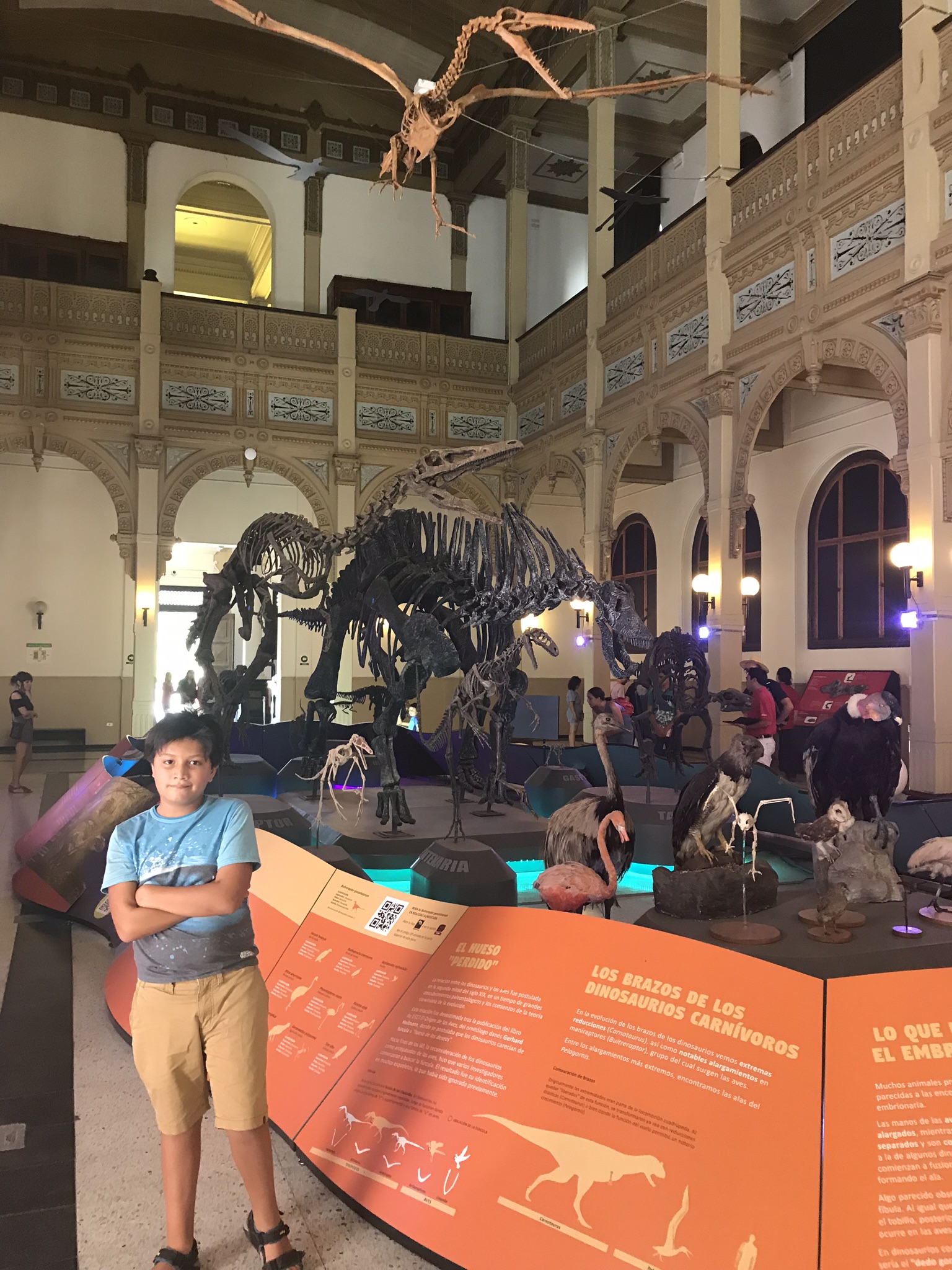 Museo de Historia Natural | Mi blog de aventuras | 2017