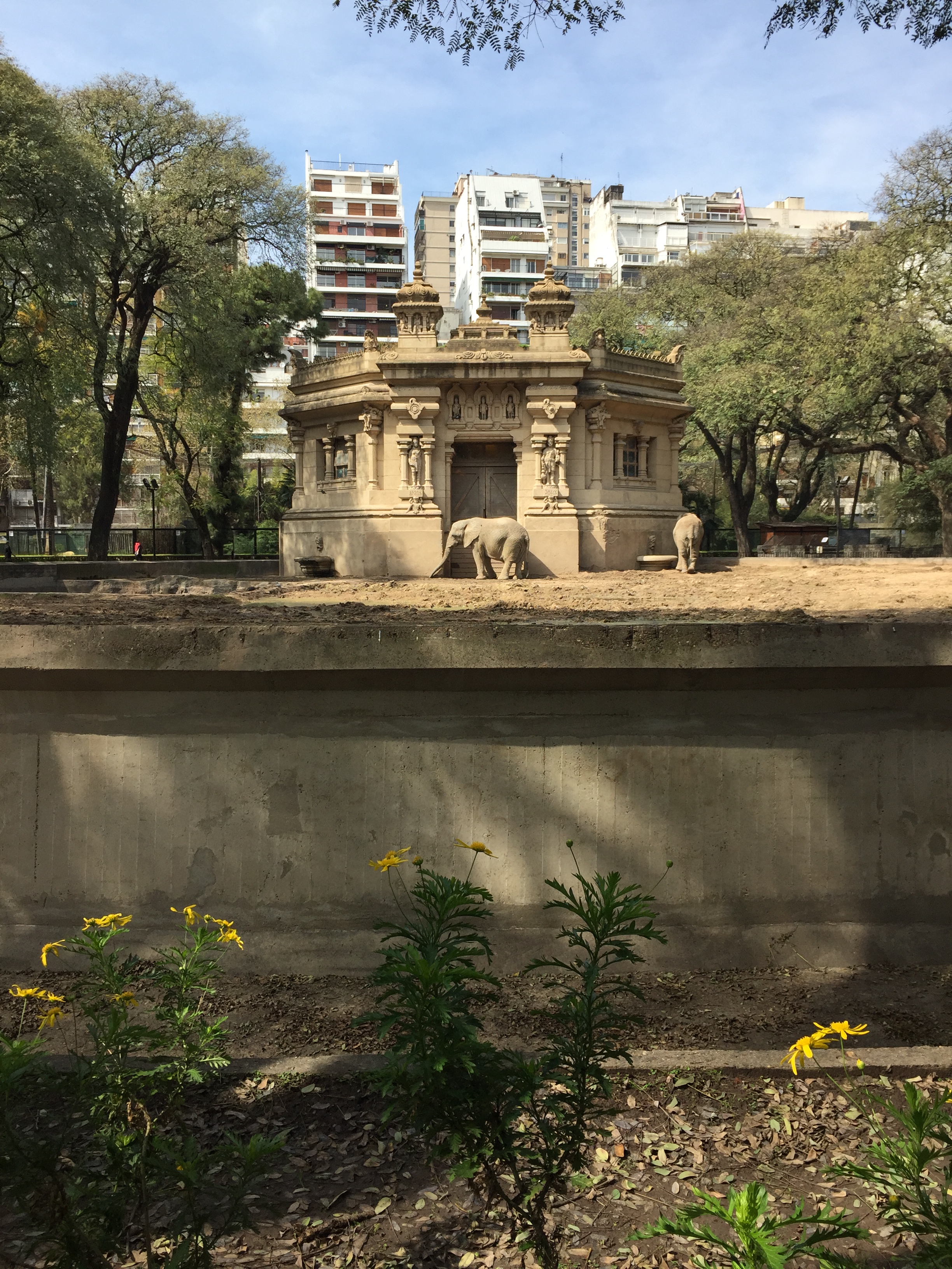 Ecoparque de Buenos Aires | Mi blog de aventuras | 2016