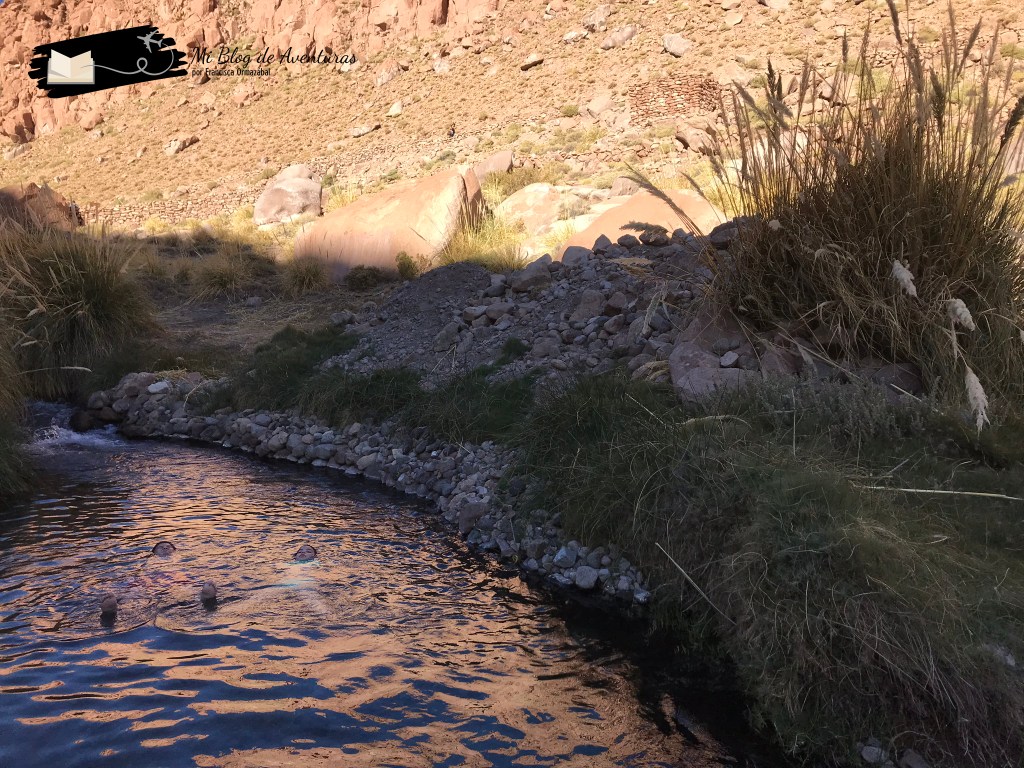 Termas de Puritama, San Pedro de Atacama | Mi Blog de Aventuras | 2019