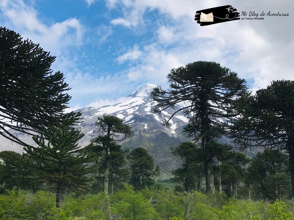 Volcán Lanín y las araucarias, Currarrehue | Mi Blog de Aventuras | 2019