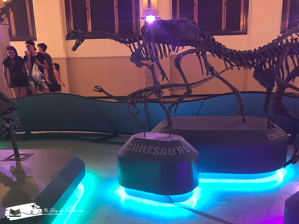 Museo de Historia Natural | Mi blog de aventuras | 2017