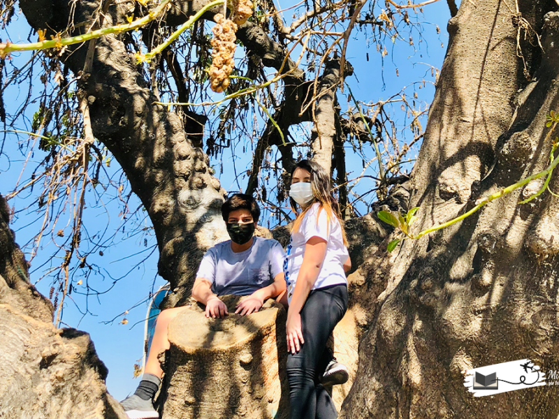 1 año de Pandemia de Coronavirus: cómo ha sido para&nbsp;nosotros.