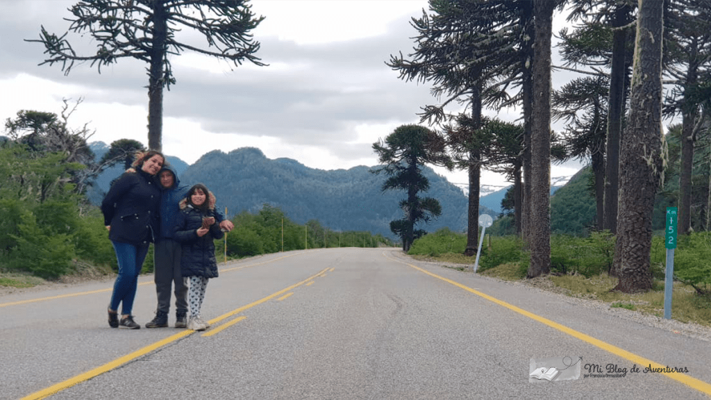 Colecciones de Fotos y Videos&nbsp;❤