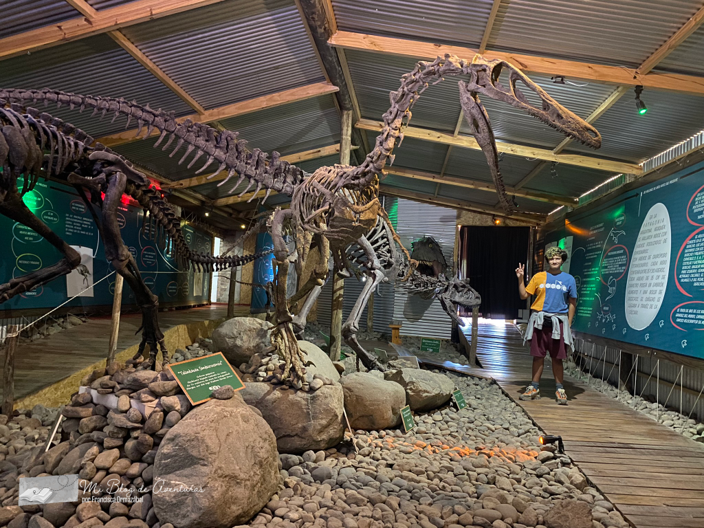 Talenkauen santacrucensis en el Museo de Interpretación Histórica. El Calafate | Mi Blog de Aventuras | 2023