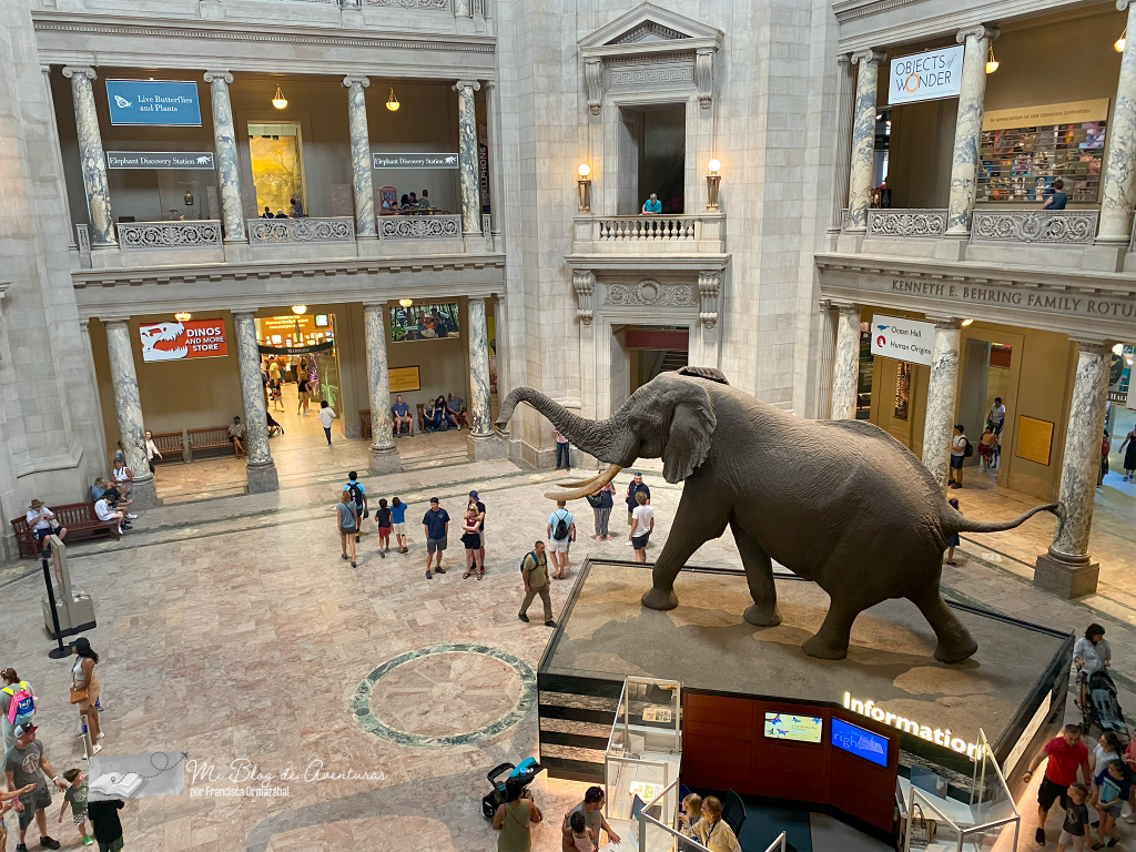 Museo de Historia Natural Washington DC | Mi Blog de Aventuras | 2023