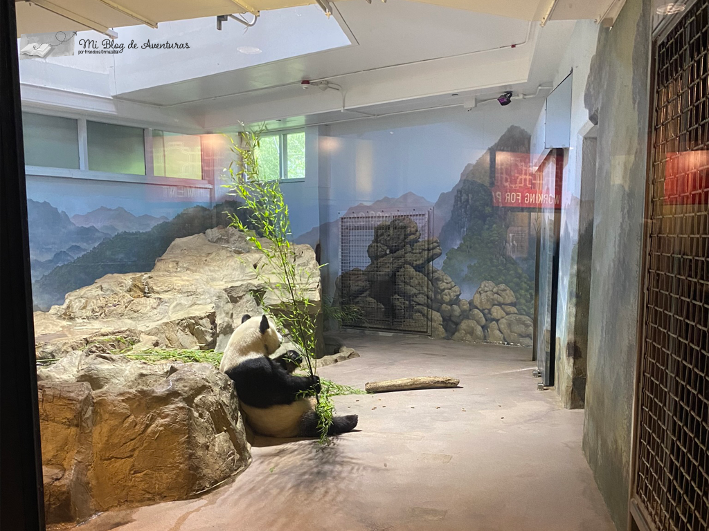 Zoológico Nacional Smithsoniano Washington DC | Mi Blog de Aventuras | 2023