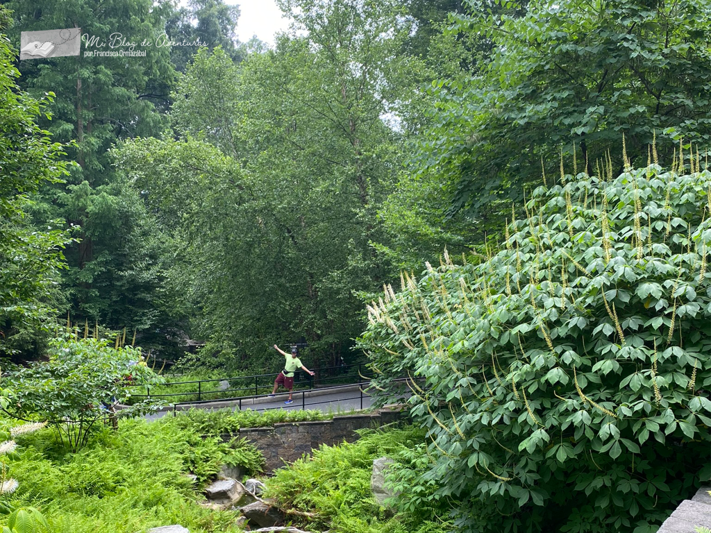 Zoológico Nacional Smithsoniano Washington DC | Mi Blog de Aventuras | 2023
