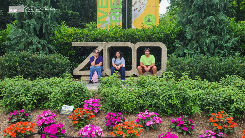 Cómo visitar el Zoológico de Washington&nbsp;DC