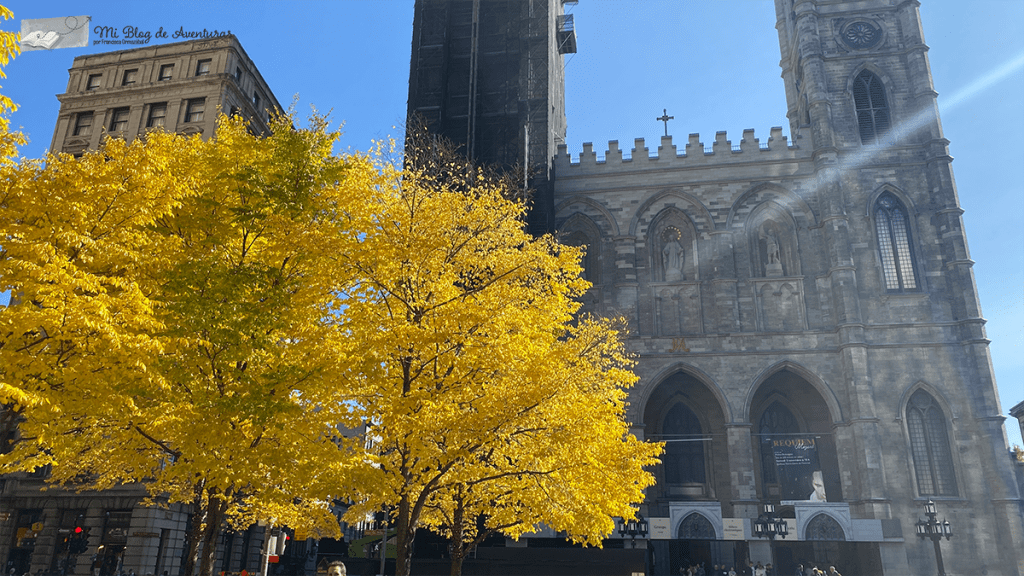 Un día de paseo por Montreal: Qué hacer y qué&nbsp;ver.