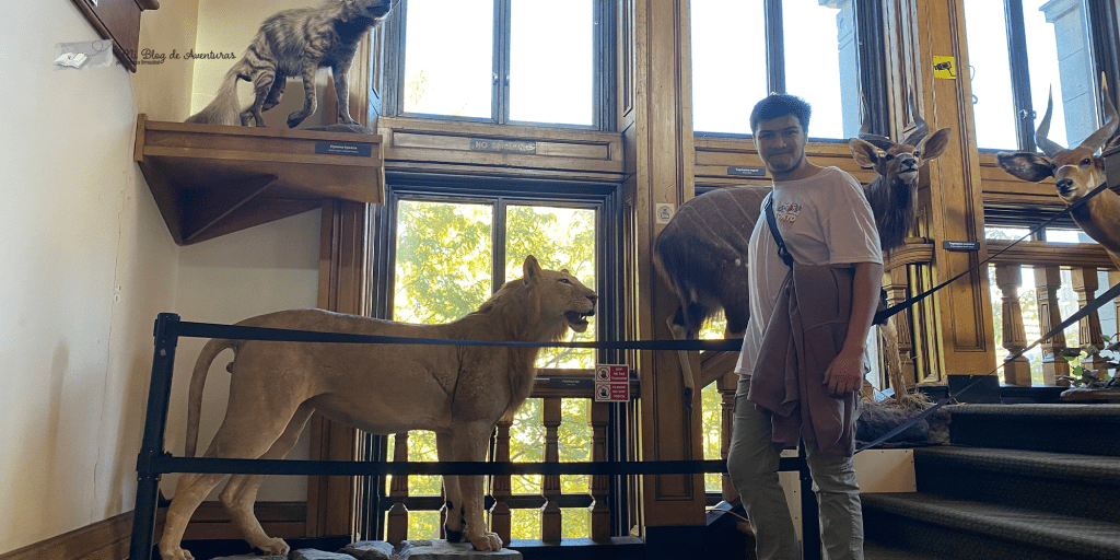 Visitar museo Redpath en Montreal | Mi Blog de Aventuras | 2024