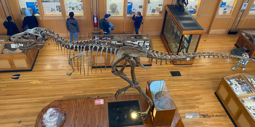 Visitar museo Redpath en Montreal tiranosaurio rex | Mi Blog de Aventuras | 2024