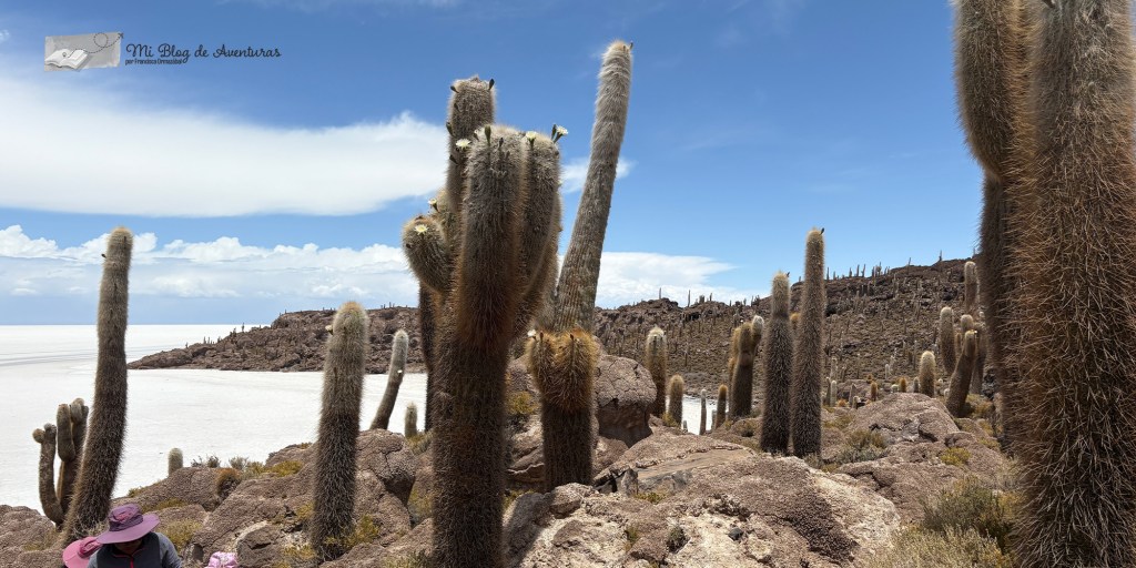 Isla Incahuasi en el Salar de Uyuni | Mi Blog de Aventuras | 2025