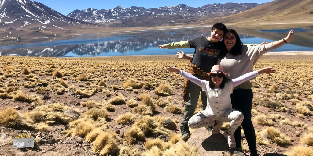 Tour por las lagunas altiplanicas San Pedro de Atacama | Mi Blog de Aventuras | 2026